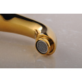 Baño Dule Handle Bath Faucet 3 piezas grifo de la bañera (Q30203G)